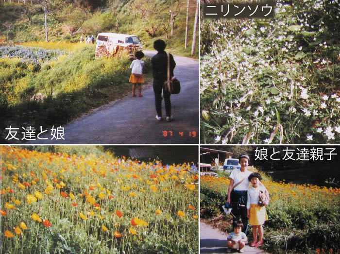 photo1花咲く子安の里