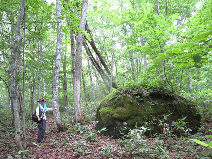 photo3森の中の大岩