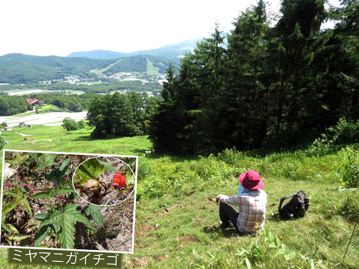 photo4中腹でちょっと休憩