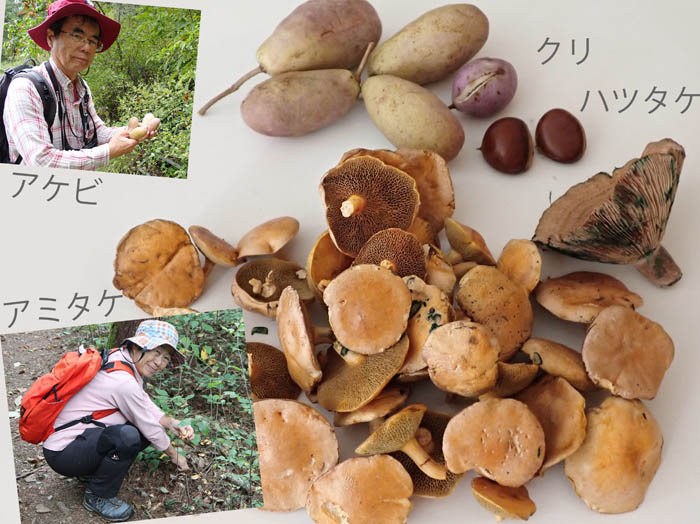 photo6秋の味覚