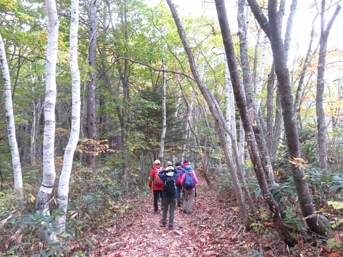 photo11落ち葉の絨毯の道を行く