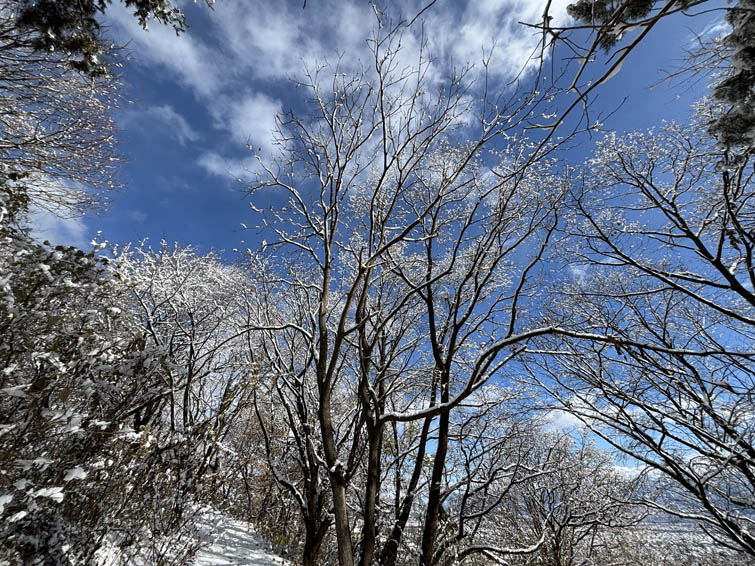 志賀高原の山々