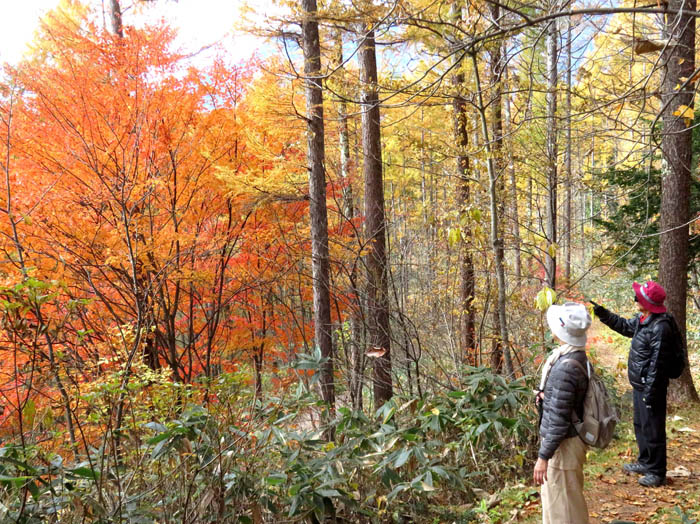 photo11真っ赤だね