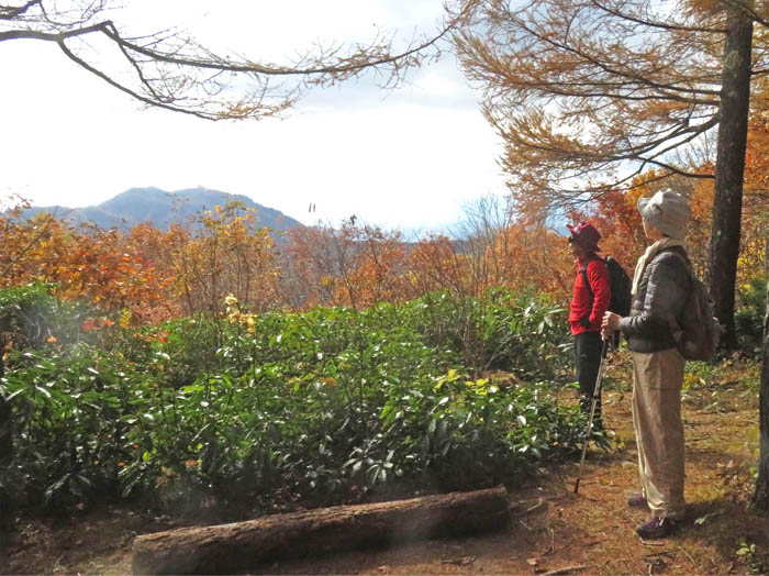 photo13硯石近くから荒倉山