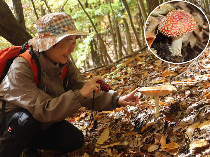 photo7ベニテングタケ1112