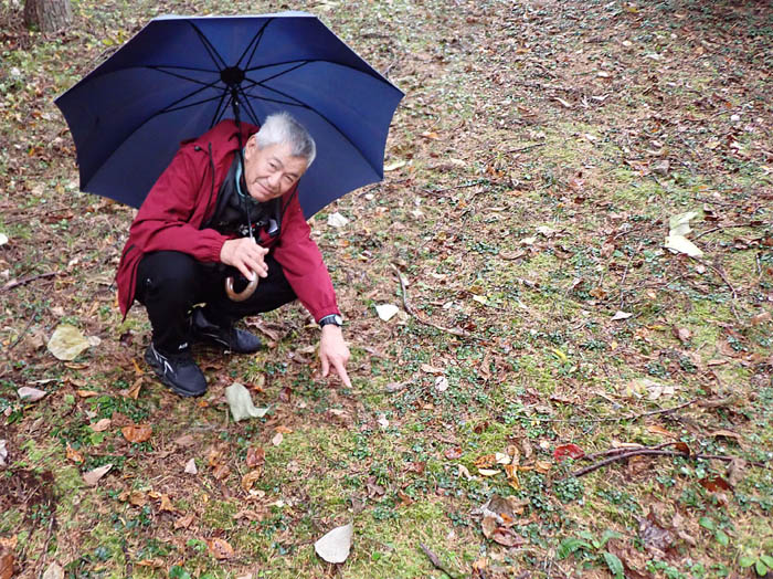 photo6まだ咲いてたよ