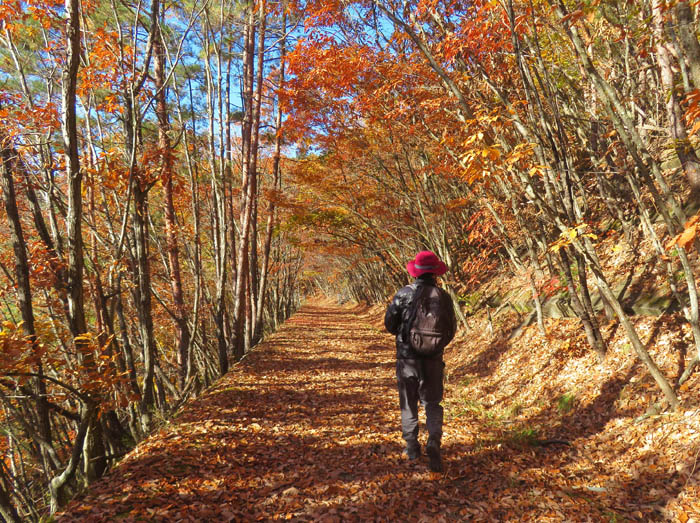 photo10紅葉が残る登山道