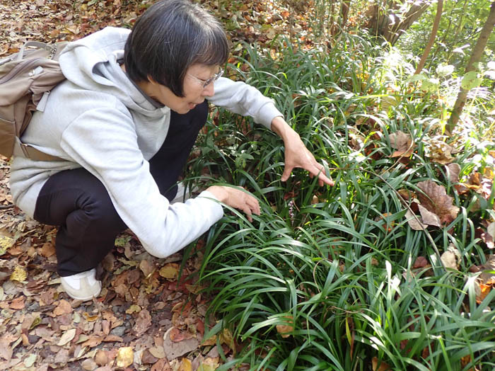 photo3隠れて咲いている