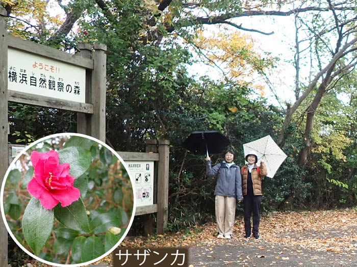 photo1サザンカが迎えてくれた