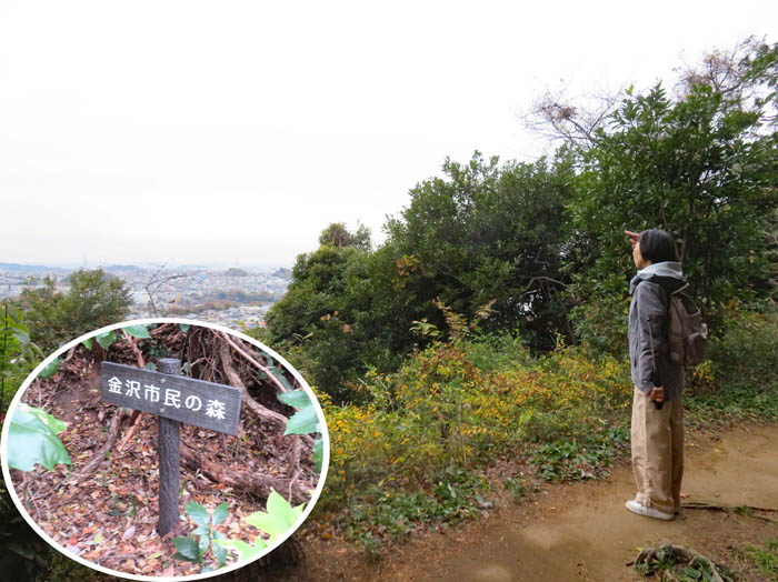 photo11尾根筋から東京湾が見える