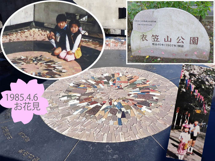 photo9衣笠山公園は桜の名所