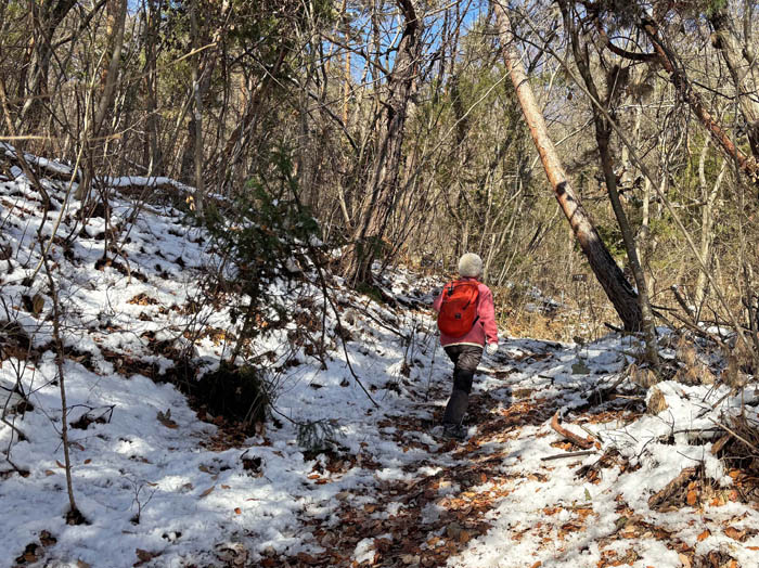 photo2雪が残る道