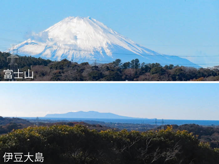 photo12富士山,伊豆大島