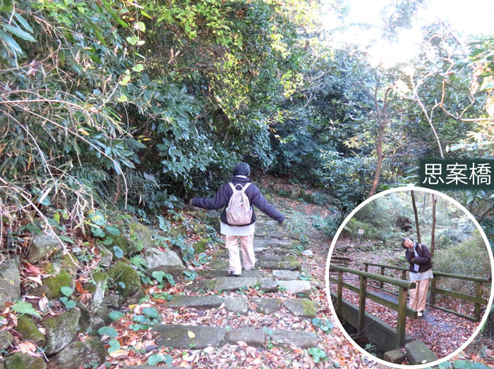 photo8衣笠山公園の散策路