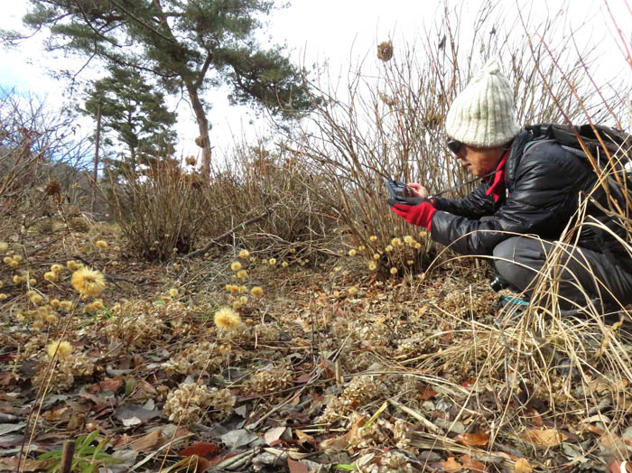 photo15センボンヤリ