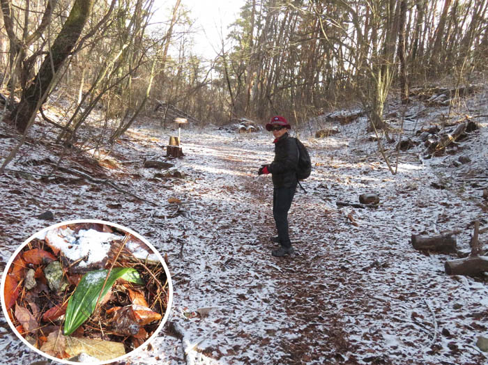 photo13雪が舞う道を歩く