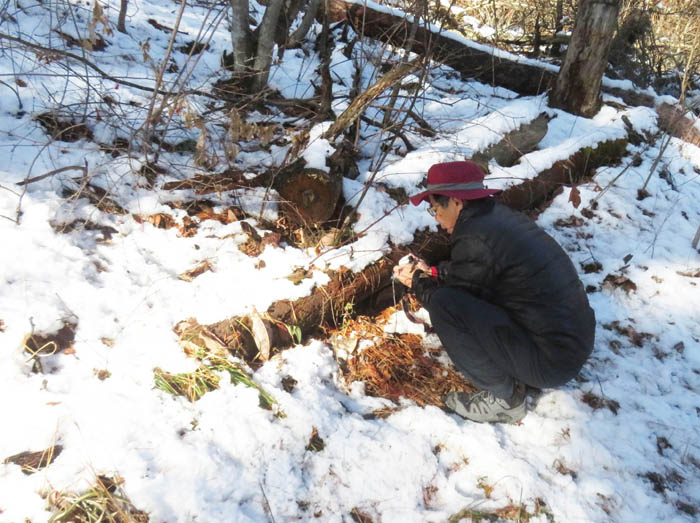 photo6雪の中の撮影