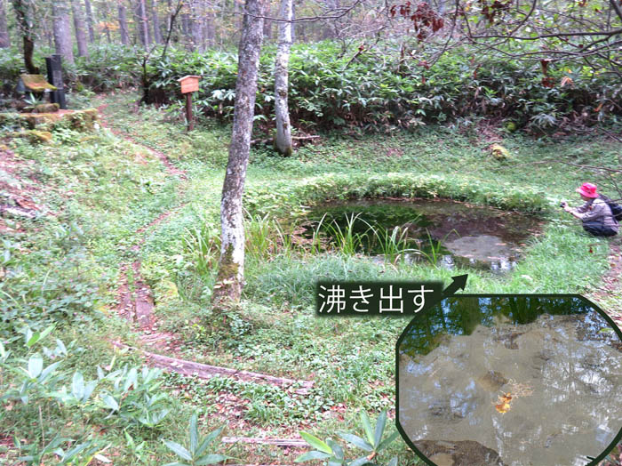 photo：清水が湧き出している念仏池・戸隠高原