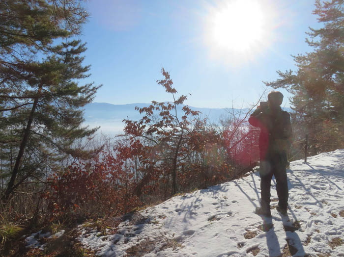 photo11パワーポイントから