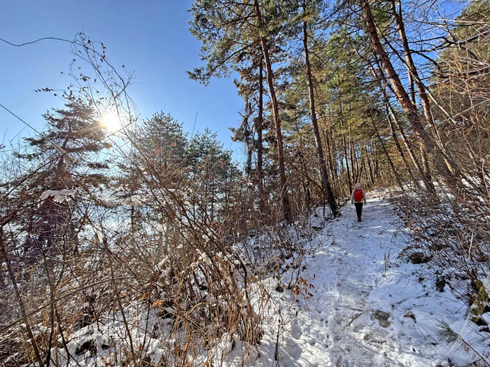 photo13気持ちよい冬の日差し1229