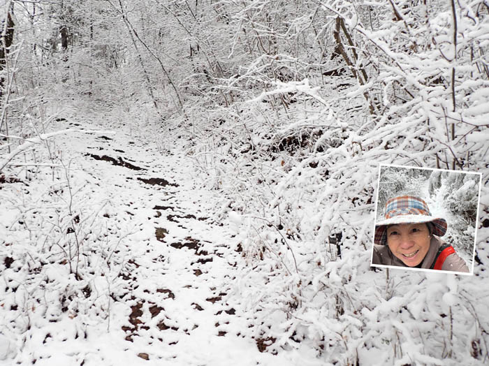 photo2白いトンネルの中に続く道