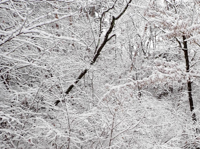 photo3ただただ美しい