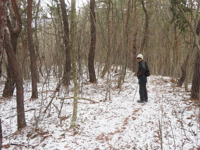 photo13雪が残る森