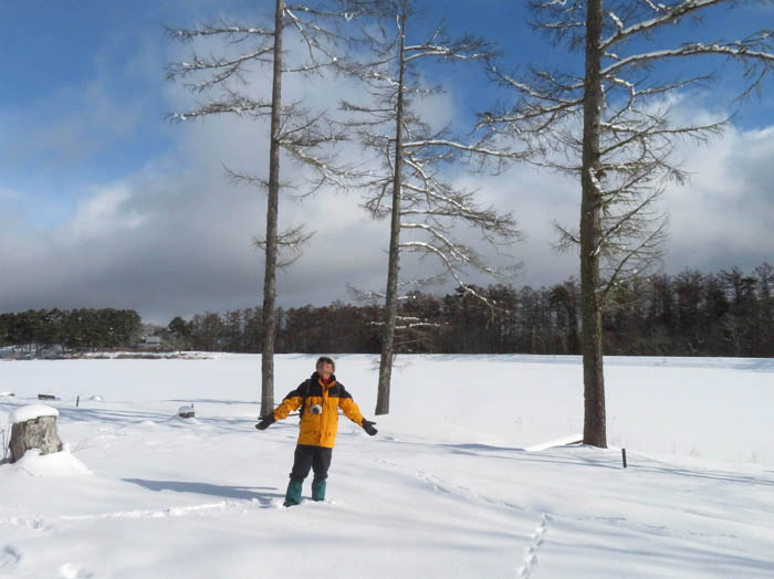 photo1雪とカラマツ