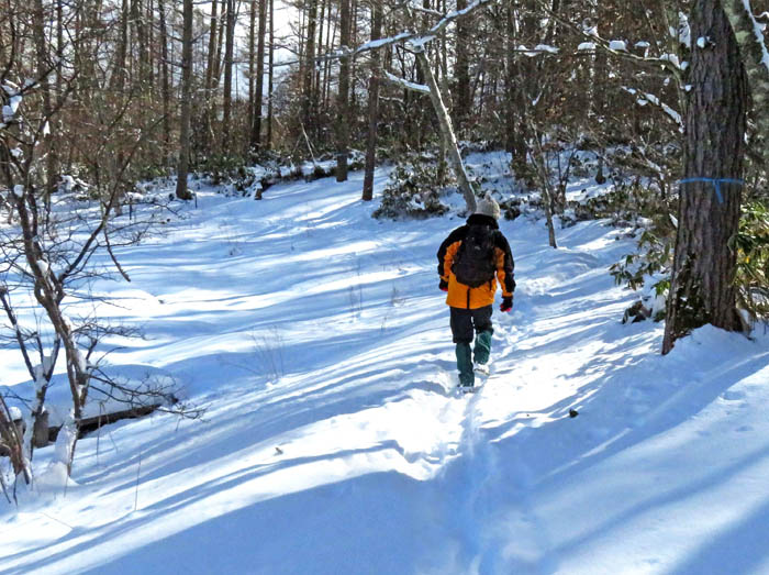 photo4微かに残る足跡を辿って