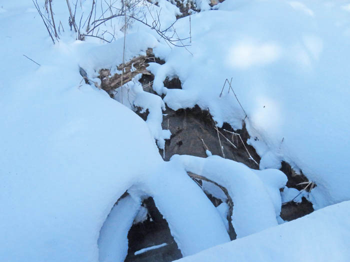photo2雪で埋もれそうな沢