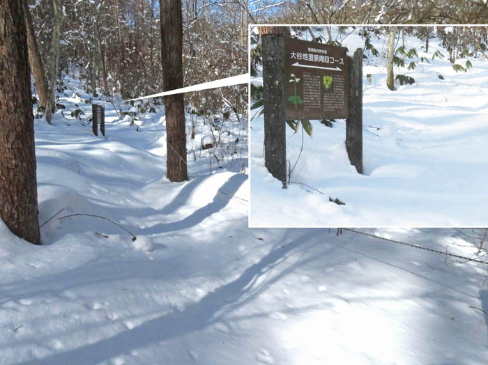 photo9雪の中に立つコース案内