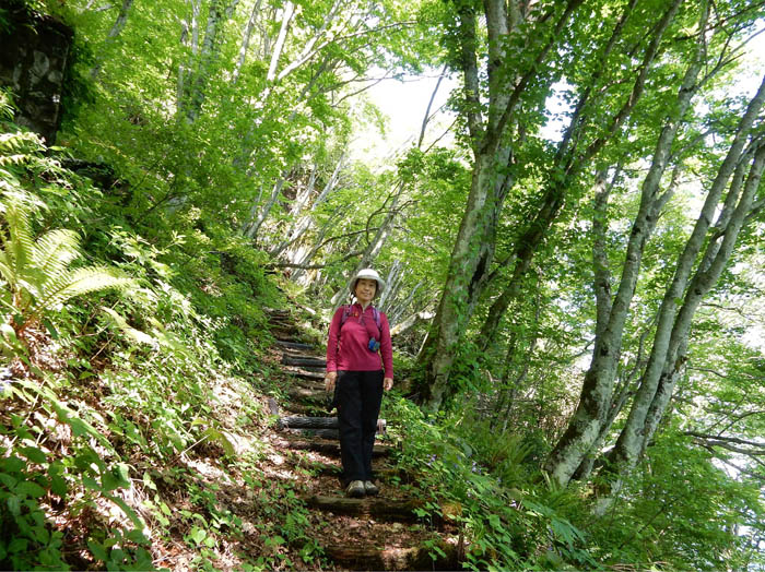 登山道：冠着山