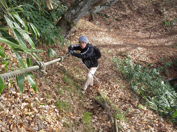 葛山山頂直下