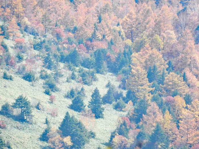 笠岳山頂からモヤのかかる県境方面の景色 