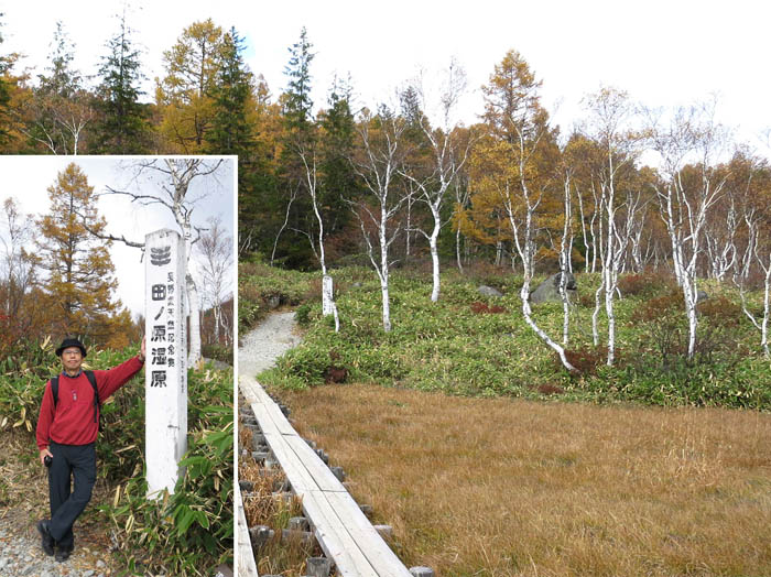 田ノ原湿原の草紅葉