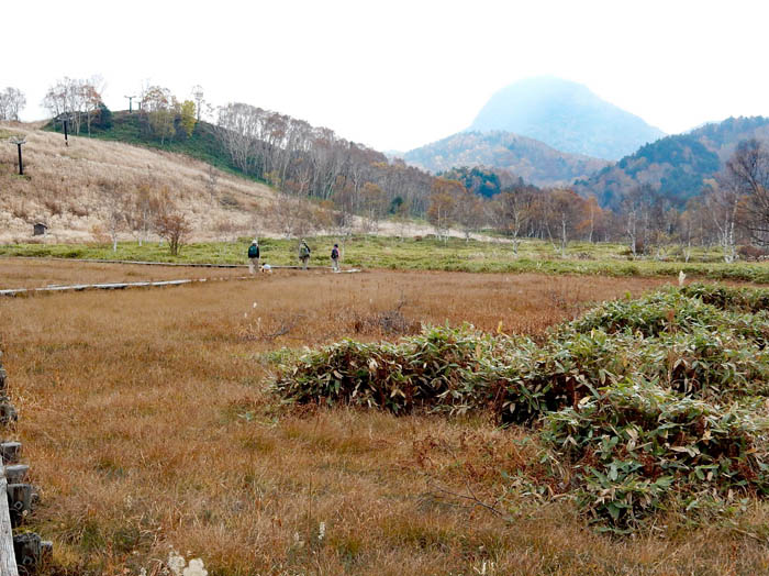 田ノ原湿原と笠岳