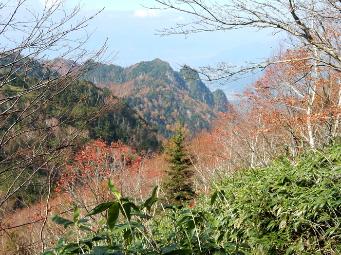 登山道から坊寺山方面 