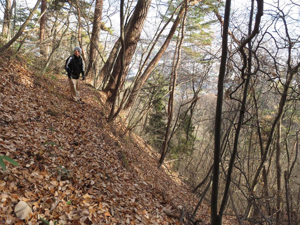 落ち葉がいっぱいの登山道