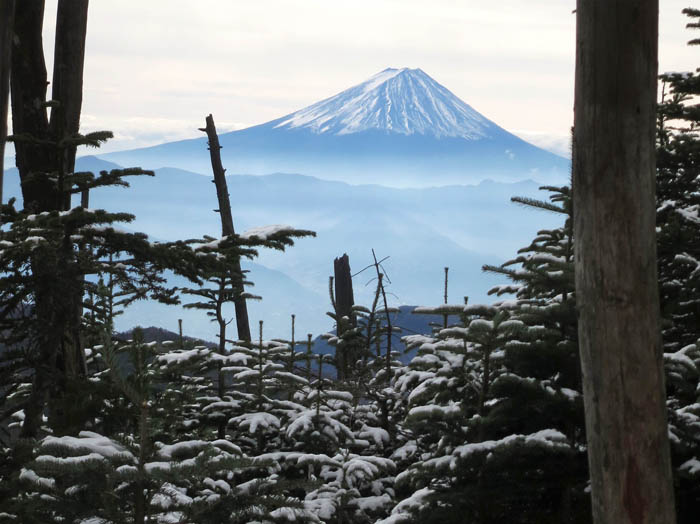 写真・木々の間に富士山：朝日岳から
