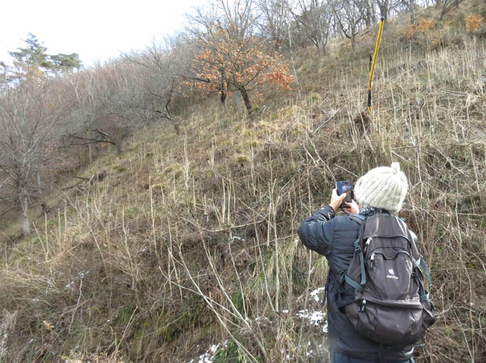 photo1これから登る鎌田山の斜面