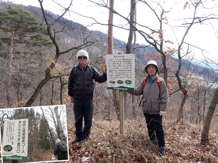 photo13ここは桃山