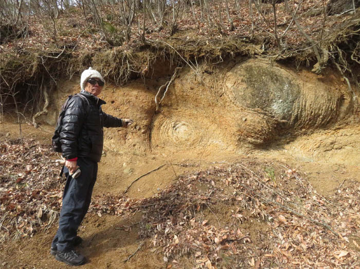 photo3ひん岩の玉ねぎ状風化