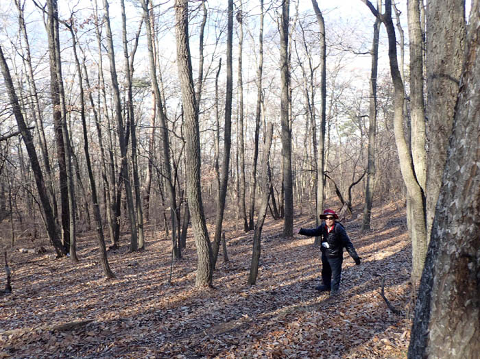 photo4急な斜面をジグザグに登る