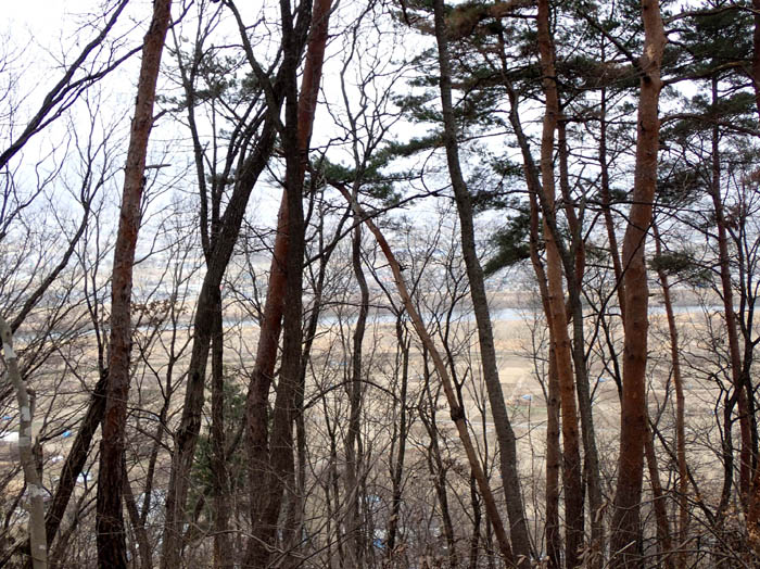 photo7千曲川を見下ろす