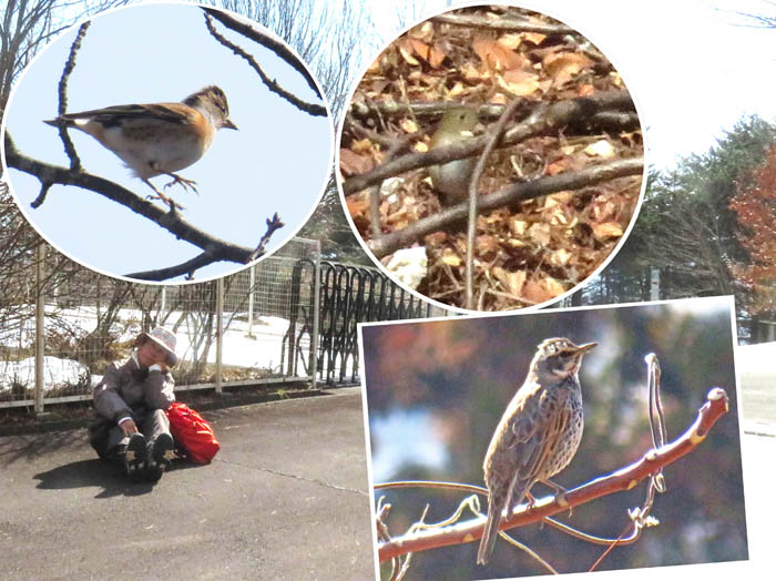 photo3野鳥観察は根気勝負