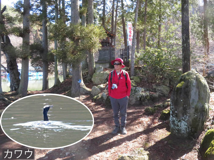 photo4竜ヶ池に浮かぶ弁天島で