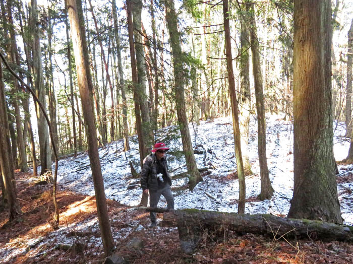 photo10針葉樹林には雪が残っている
