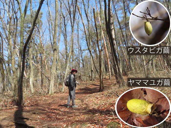 photo森はまだ冬の名残り