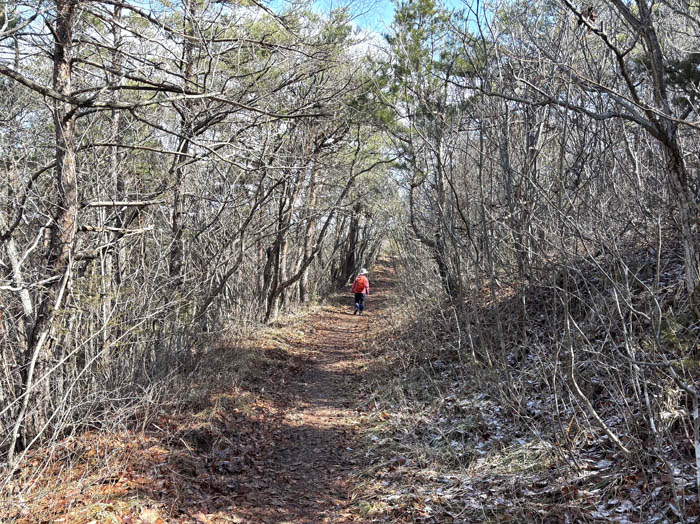 photo12雪が残る山頂稜線