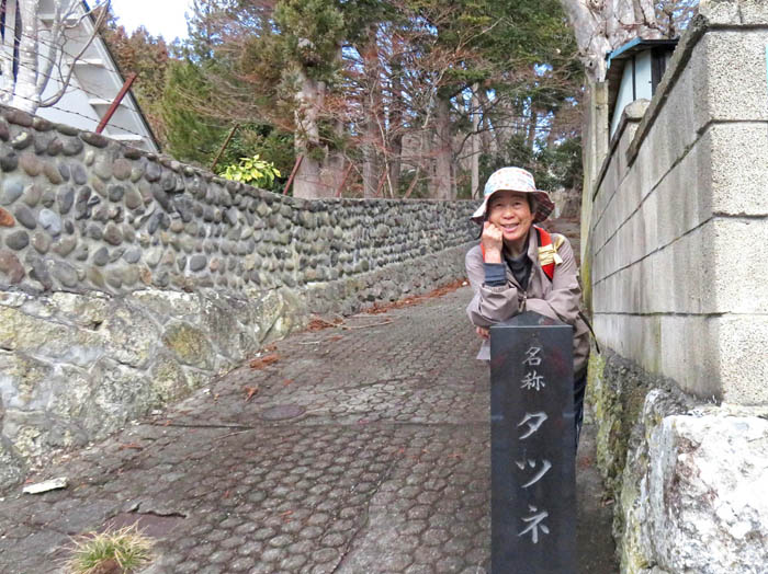 photo7名称タツネ